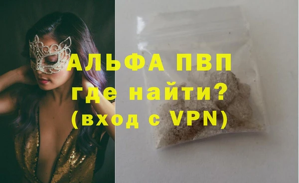 стафф Кодинск