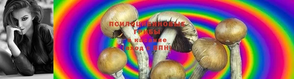 альфа пвп Киренск