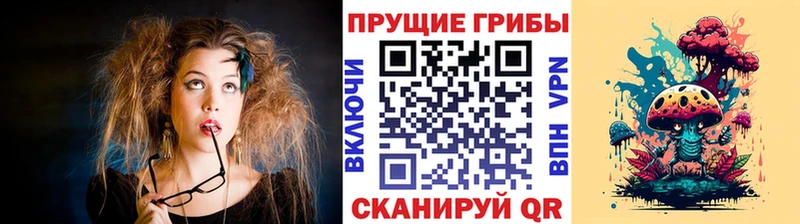 Галлюциногенные грибы GOLDEN TEACHER  Купить где  Иннополис 